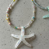 Multicolor Starfish