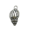 Gray Seashell 3