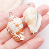 Red Seashell 6