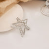 Silver Star Clip