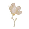 Gold Orchid