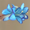Blue Lilies