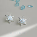 Silver Tone Pale Blue Snowflake Earrings In Stud And Clip Styles view 1