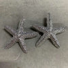 Silver Starfish