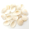 Yellow Shell 2