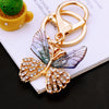 Purple-Wing-Butterfly