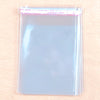 Clear Bags 10 Pack