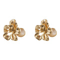 Gold Tone Champagne Stone Flower And Clear Round Stud Earrings view 5