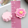 Pink Flower 11