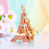 Pink Plain-Eiffel-Tower