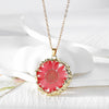 May Red Daisy