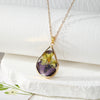 Purple Pansy