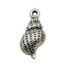 Gray Seashell 2