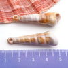 Blue Seashell 7
