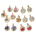 Gold Wavy Frame Resin Dried Flower Stud Earrings 7 Styles view 5