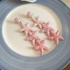 Pink Starfish