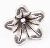 Antique Silver