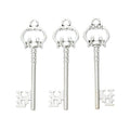 Ornate Skeleton Key Charm in Three Metal Finishes Jewelry Making Component view 8